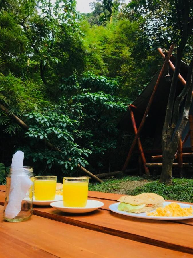Bambu Glamping Ecolodge Медельин Экстерьер фото