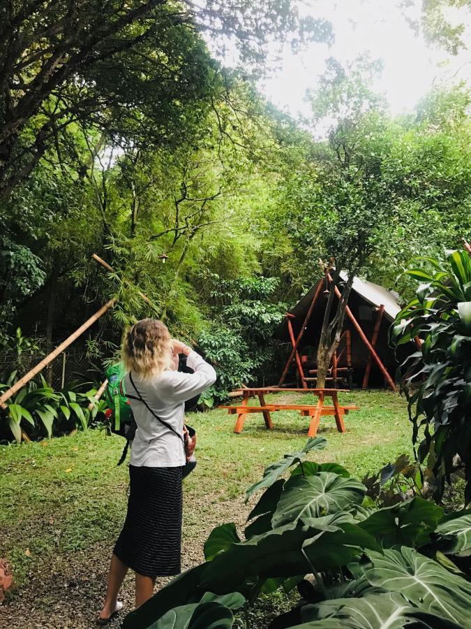 Bambu Glamping Ecolodge Медельин Экстерьер фото